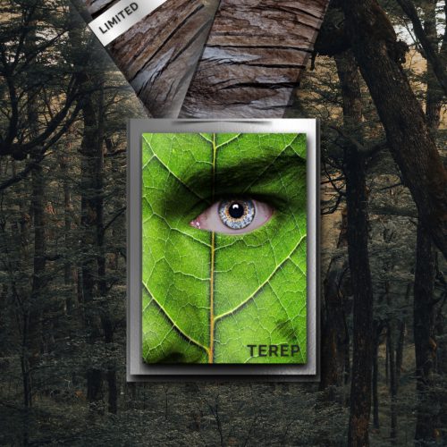 TIÉD A TEREP